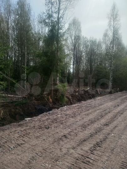 Участок 13,3 сот. (СНТ, ДНП)
