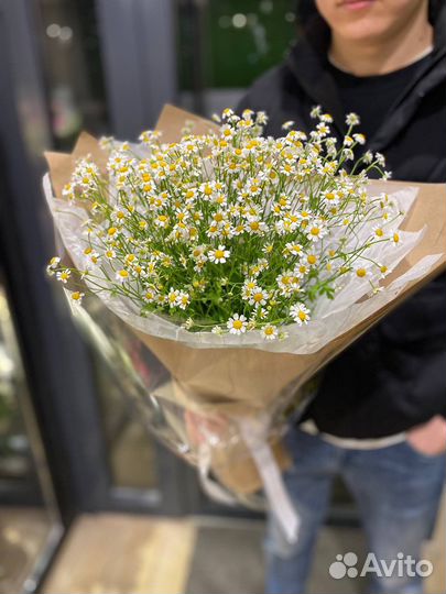 Ромашки Букеты из ромашек Цветы Доставка
