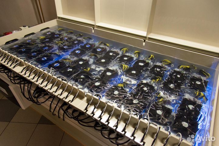 Иммерсионная жидкость