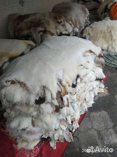 Овечьи шкуры. Шкура овечья. Подкладочные декоратив