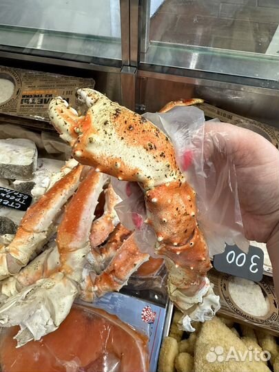 Камчатский краб огромный