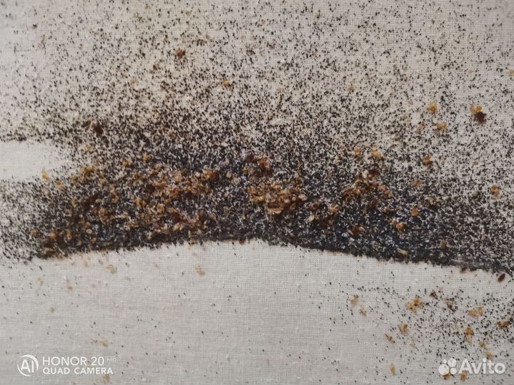 Уничтожение любых насекомых