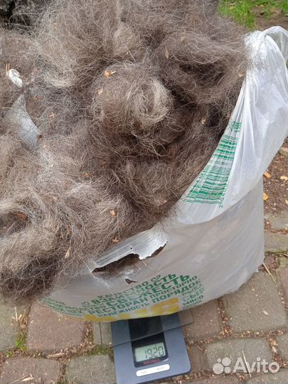 Шерсть (подшерсток, пух) вычес вео овчарки