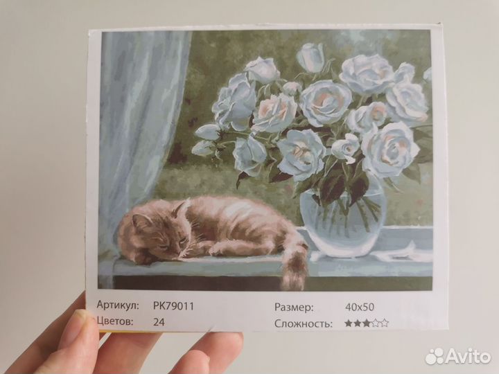 Картина по номерам новая