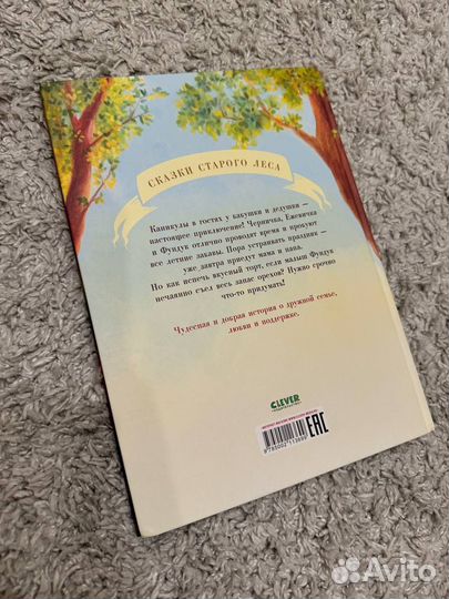 Книга Что случилось с Фундуком