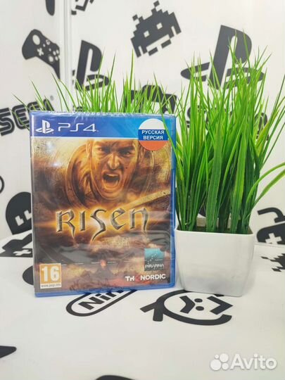 Risen PS4 NEW