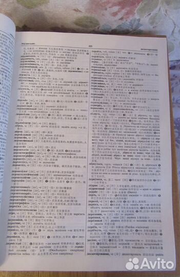 Большой русско-китайский словарь