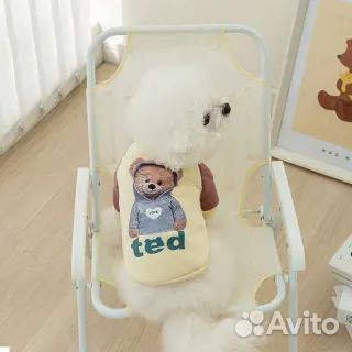 Одежда для собак