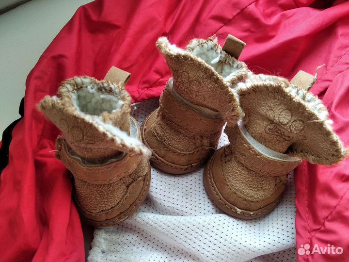 Одежда для маленькой собачки