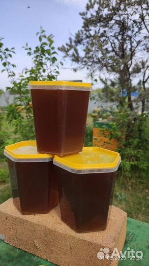 Свежий мед с желтой акации, черноклена,гомогенат