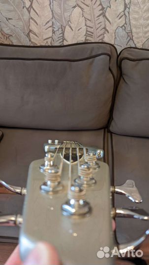 Бас гитара Alina Pro Kenny 5