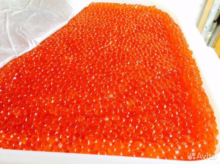 Икра кижуча доставка свежая