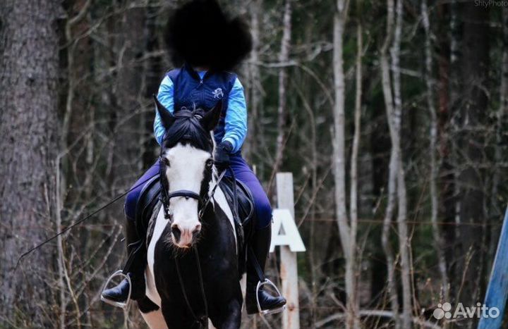 Жилетка для верховой езды