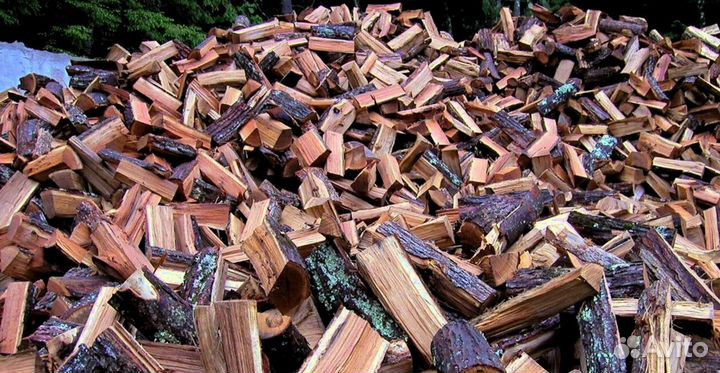 Дрова осина