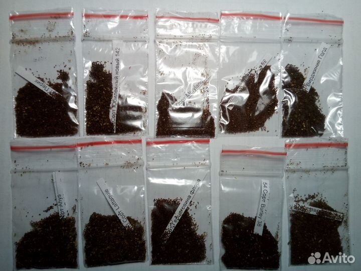 Семена табака