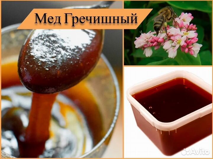 Мед натуральный (липовый, гречишный). Алтай