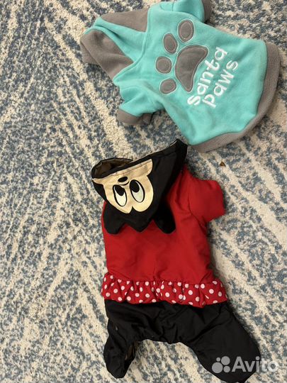 Одежда для собак