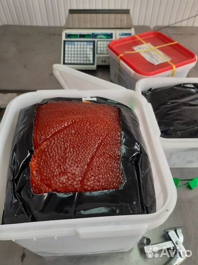 Икра Красная Лососевая,Кета,Горбуша