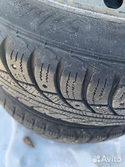 Cordiant Nordway 175/65 R14