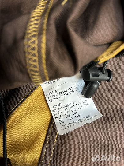 Инцефалитка