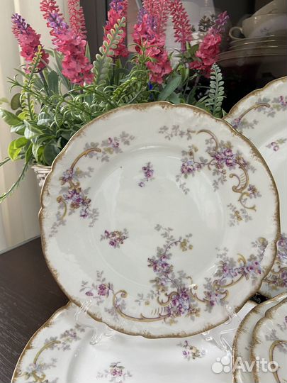 Столовый набор Limoges