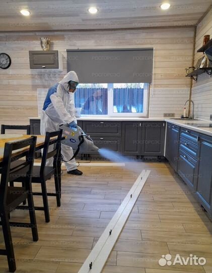 Уничтожение клопов тараканов плесени грызунов