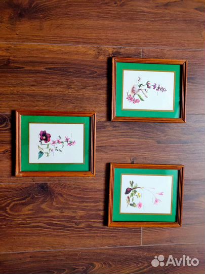 Винтажные принты, тема ботаника