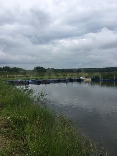 Участок 1,23 га (СНТ, ДНП)