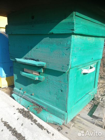 Улей, пчелы