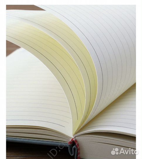 Блакнот органазер, русский 6кл