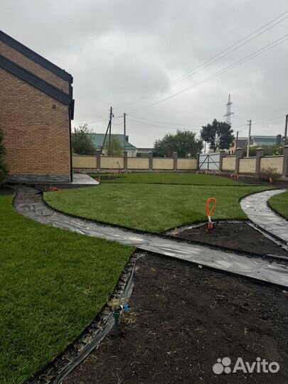 Рулонный газон под ключ