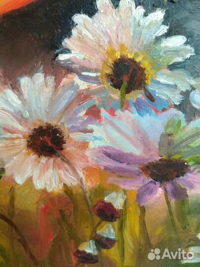 Картина маслом. Цветы. Полевые ромашки. Закат