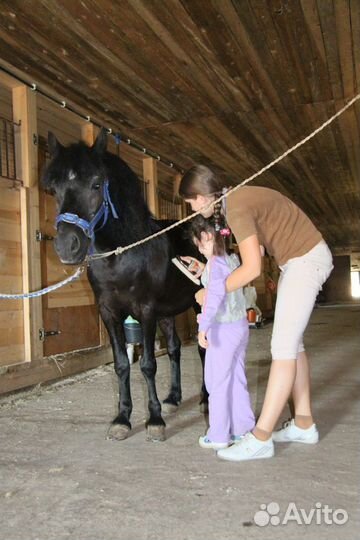 Иппотерапия/Лечебная Верховая Езда Сергиев Посад