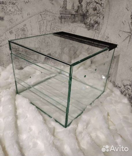 Террариумы, паучатники