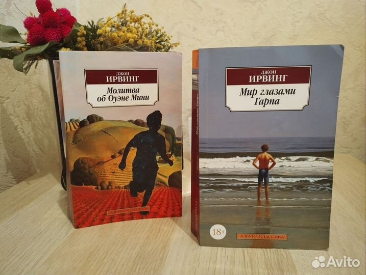 Книги Джона Ирвинга