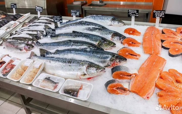 Продам успешный рыбный магазин в оживленном районе