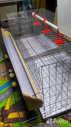 Клетки для перепелок и с/х птицы