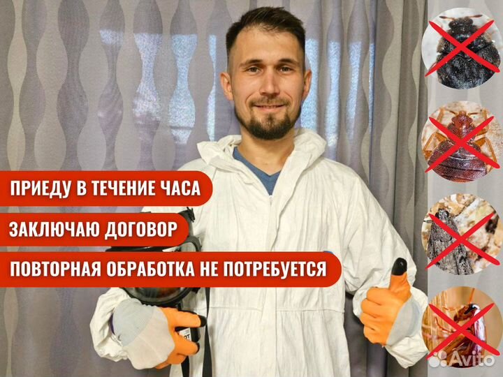 Уничтожение клопов тараканов / Дезинфекция