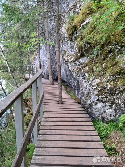 Природный парк Оленьи ручьи