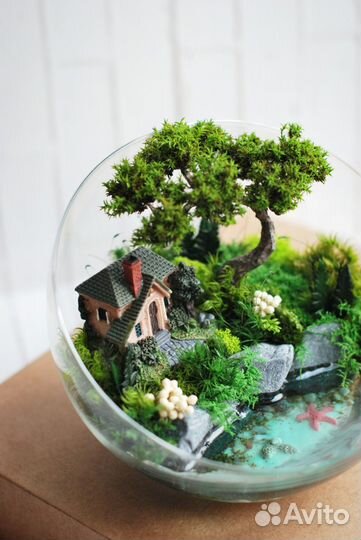 Моссариум с домиком у моря