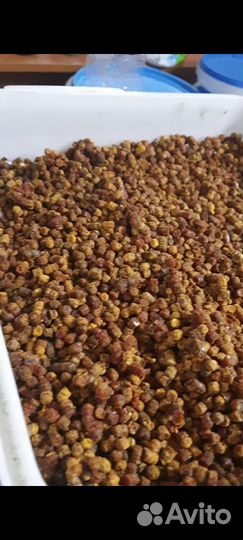 Перга пчелиная