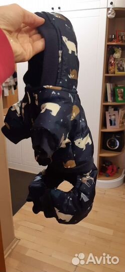 Костюм для маленьких собак