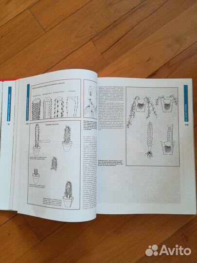 Энциклопедия Комнатные растения Практические совет