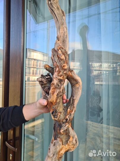 Дрифтвуд коряга