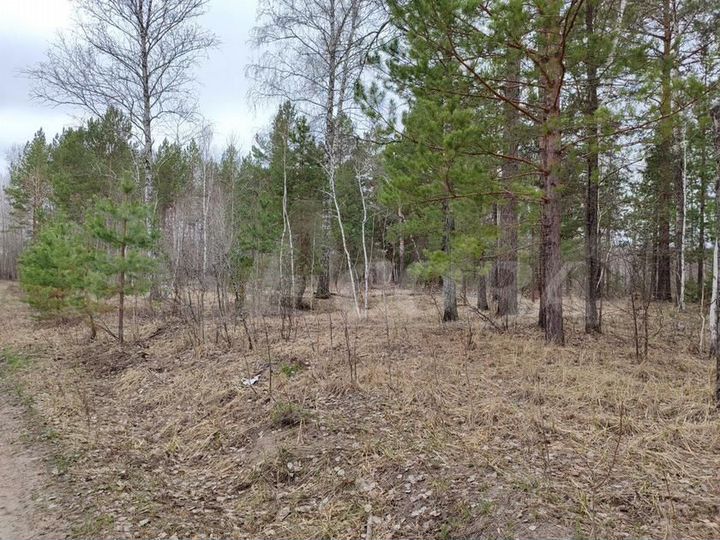 Участок 9,7 га (СНТ, ДНП)