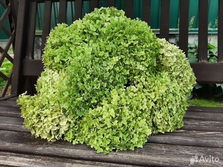 Букет цветов