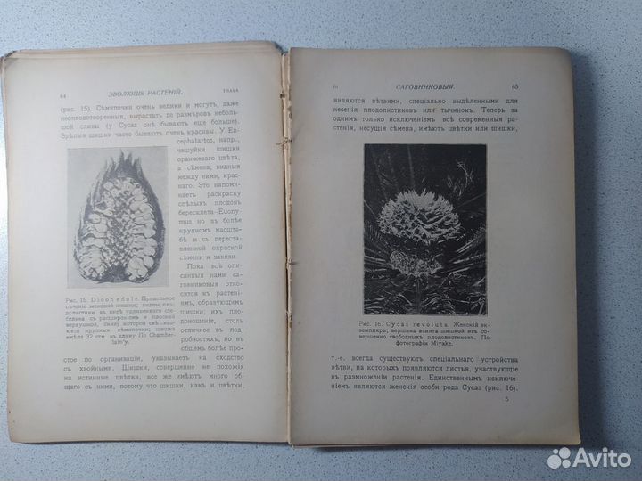 Антикварная Дореволюционная книга 1914 года