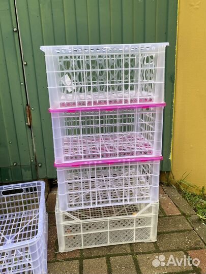 Ящик пластиковый с крышкой