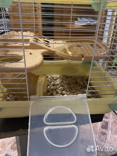 Клетка для грызунов