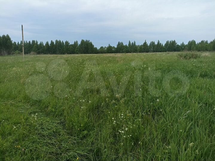 Участок 15 сот. (ИЖС)